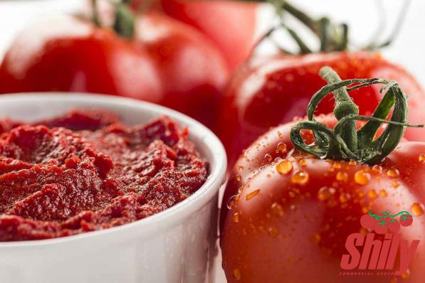 What Is the Purpose of Tomato Paste?