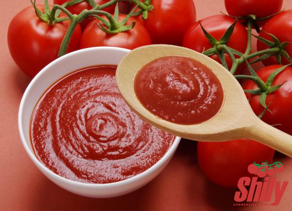 Best Organic Tomato Paste to Trade