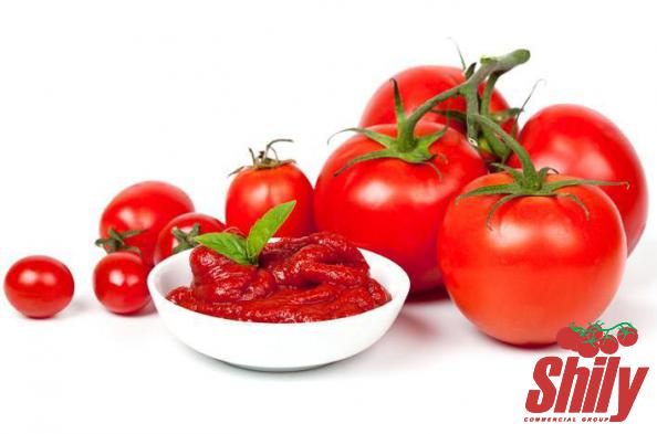 Can You Eat Tomato Paste Raw?