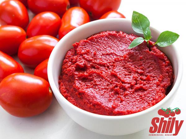 Best Organic Tomato Paste Best Producers