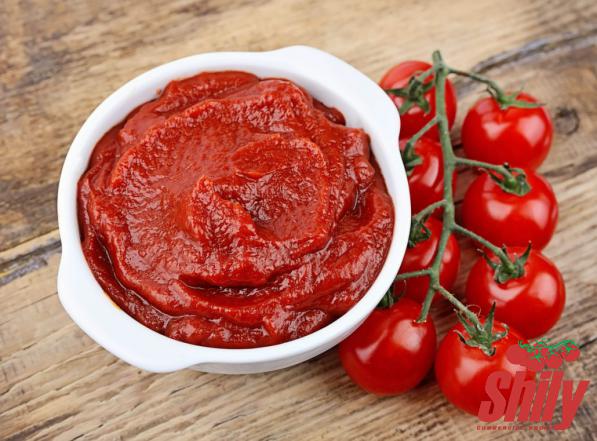 Tomato Paste Concentrate for Exporting