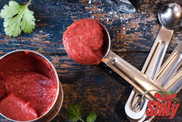 Can You Turn Tomato Paste into Sauce?