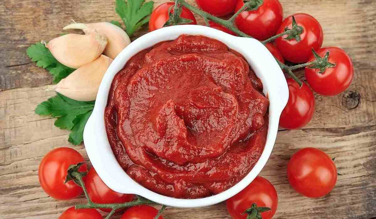  Introducing tomato paste tube product + The Best Purchase Price 