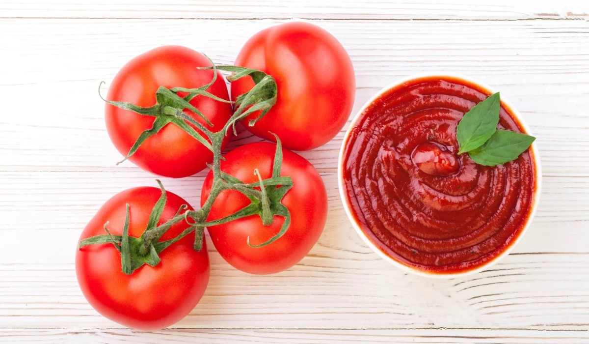  Introducing tomato paste tube product + The Best Purchase Price 