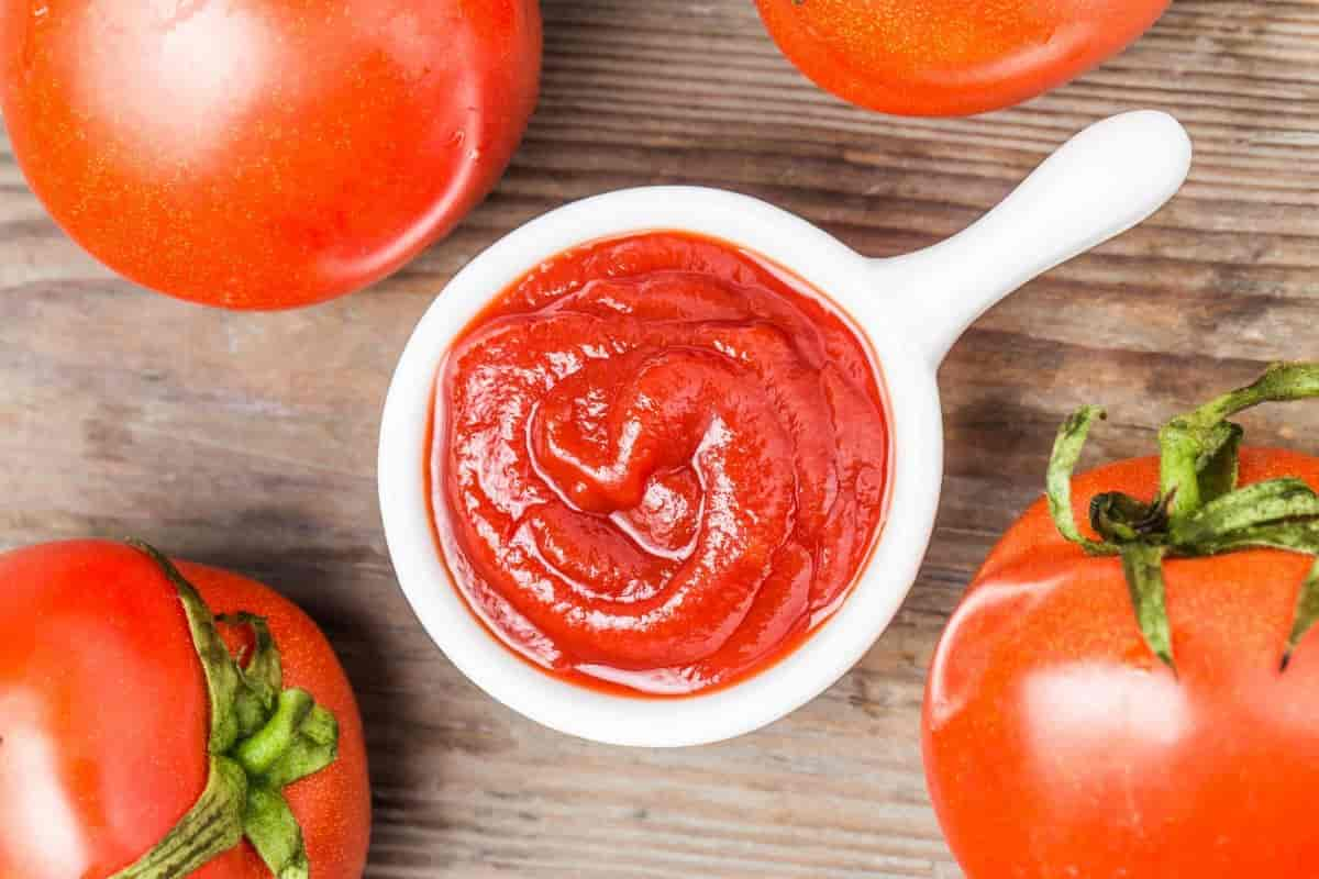  Tomato paste production and packaging design are done with latest technologies 