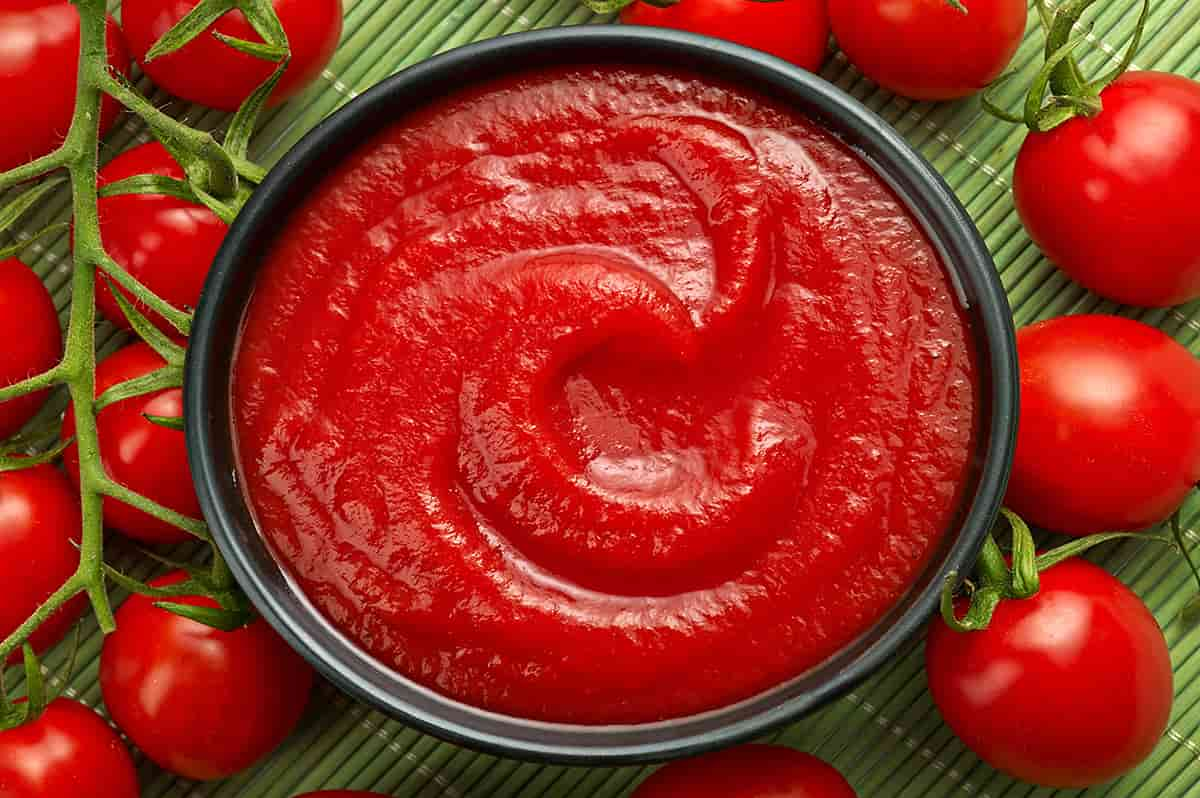  Buy Tomato Paste Production Types + Price 