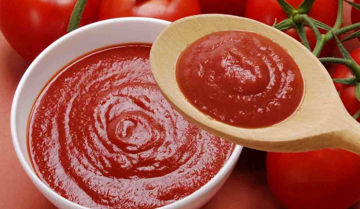  Tomato paste packaging materials | buy at a cheap price 