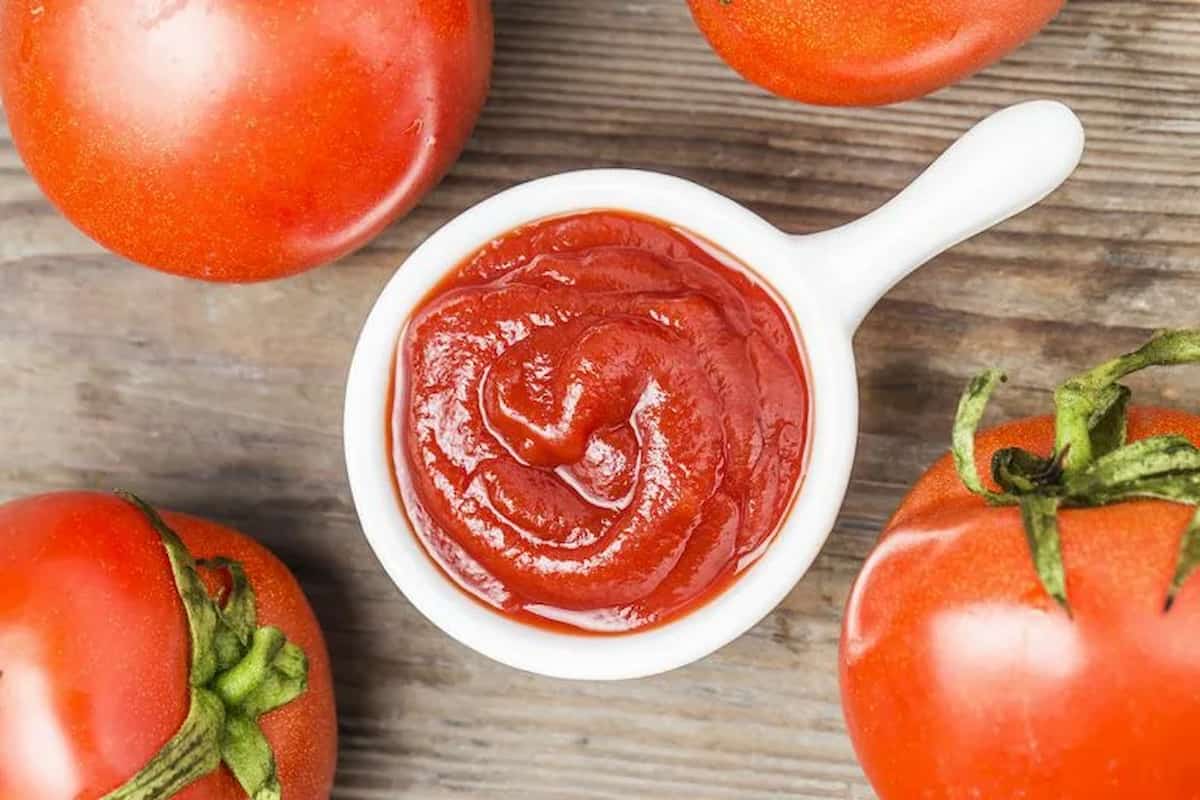  tomato paste manufacturing business plan with high market share 