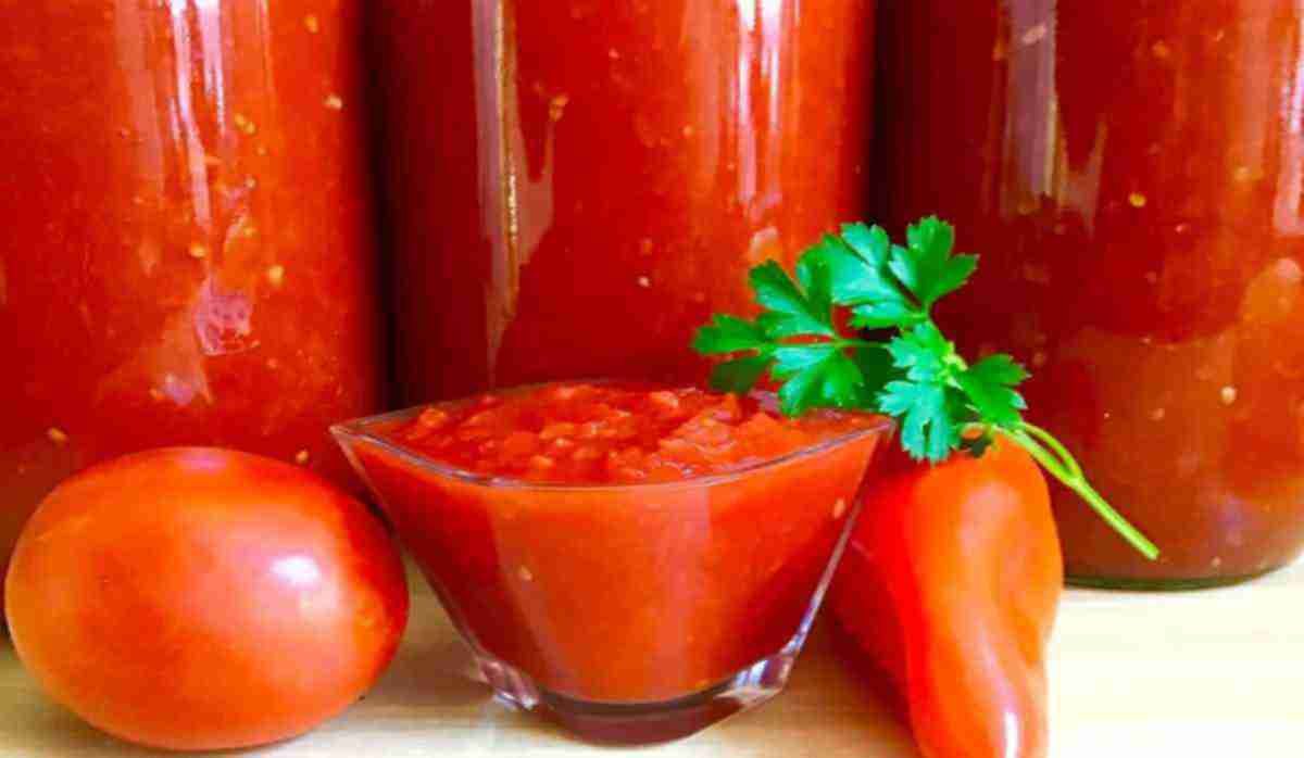  Italian tomato paste price list November 2023 