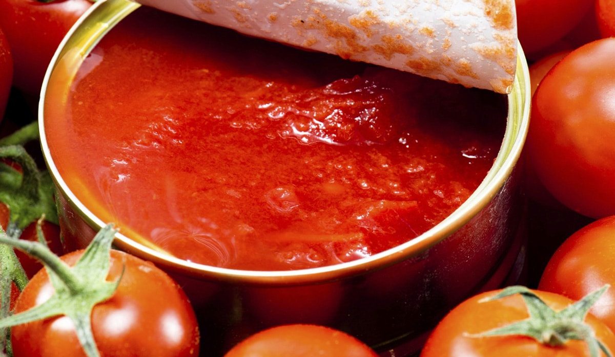  Italian tomato paste price list November 2023 