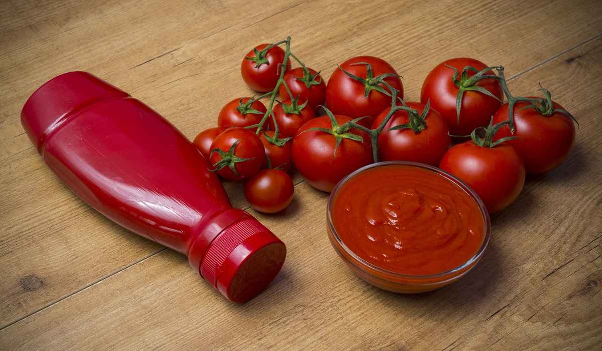  The Price of ketchup tomato paste + Wholesale Production Distribution of the Factory 