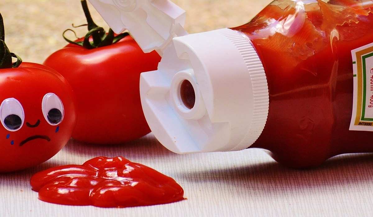  The Price of ketchup tomato paste + Wholesale Production Distribution of the Factory 