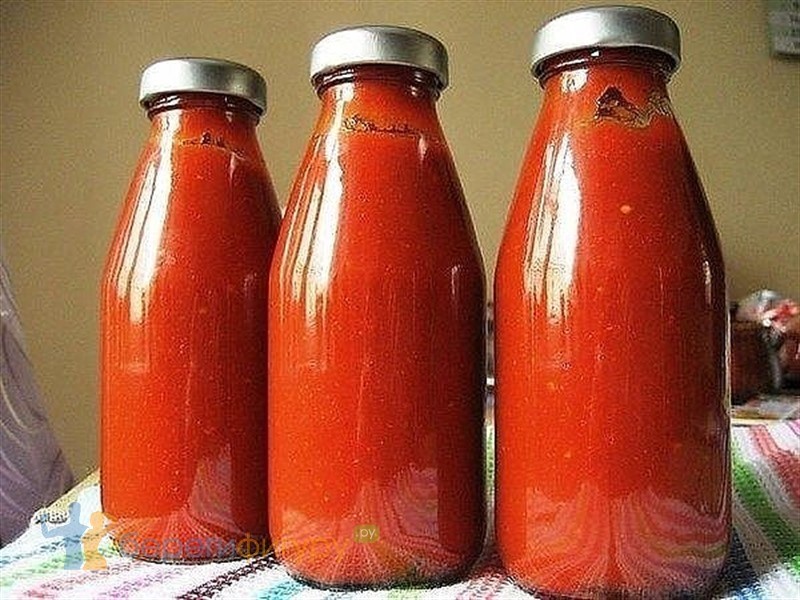 organic ketchup in glass bottle