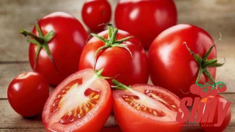 Buy all kinds of vitamix tomato paste at the best price