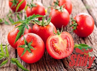 Buy the best types of unsalted tomato paste at a cheap price