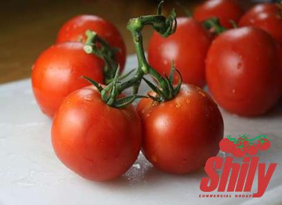 Buy new mason jar tomato paste + great price