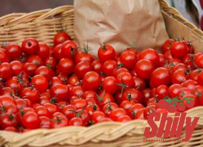 The price and purchase types of bionaturae organic tomato paste