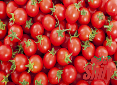 The price and purchase types of glass jar tomato paste