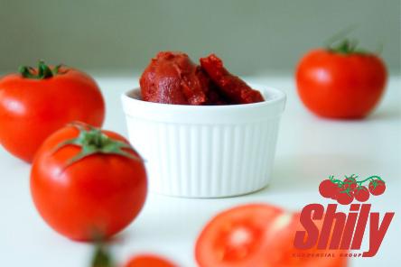 chili tomato paste type price reference + cheap purchase