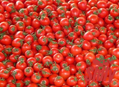 Buy new easy eating tomato paste + great price