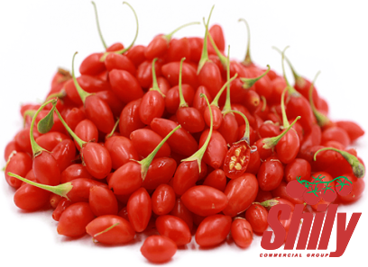 pince tomato paste purchase price + sales in trade and export