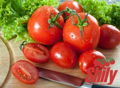 The best price to buy best tomato paste australia anywhere