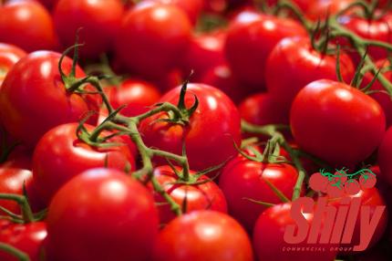 Buy the best types of asda tomato paste at a cheap price