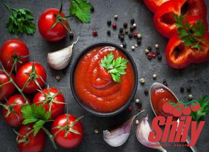 Buy the best types of easy tomato paste at a cheap price