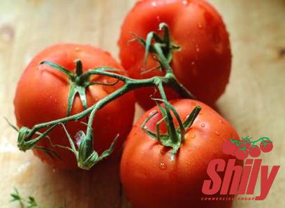 organic tomato paste without citric acid | Buy at a cheap price