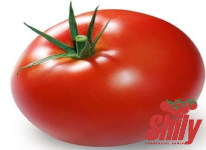 Buy stanislaus full red tomato paste + best price