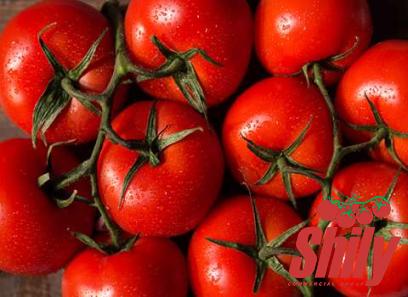 The price and purchase types of fried unsalty tomato paste