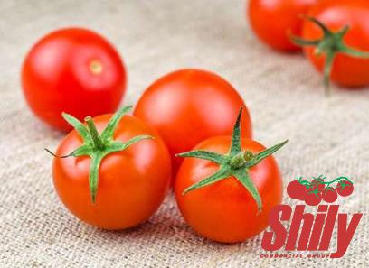 tomato paste in japan purchase price + sales in trade and export