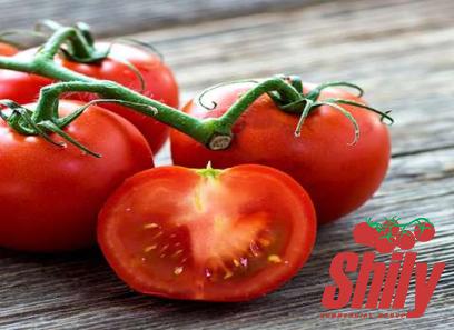 Best del monte tomato paste + great purchase price