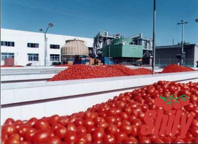 Buy all kinds of browning tomato paste at the best price