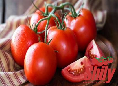 The best price to buy brick red tomato paste anywhere