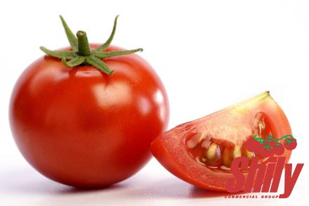 Buy all kinds of tomato paste in mexicoat the best price