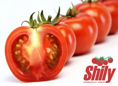 Buy the best types of 2 tbsp tomato paste at a cheap price