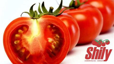 Buy the best types of tomato paste aldi at a cheap price