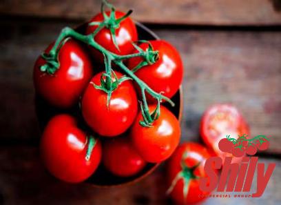 The best price to buy bulk organic tomato paste anywhere