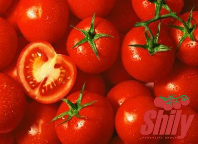 Buy new bodrum tomato paste asda + great price