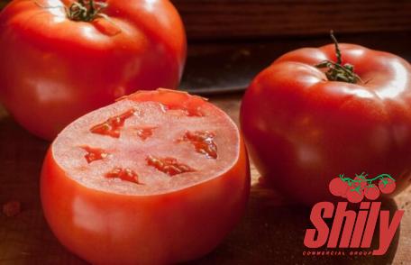 Buy the best types of tomato paste in italian at a cheap price