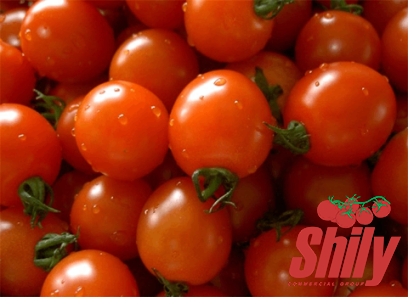 Best tasting tomato paste + great purchase price