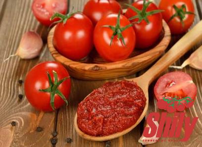 Buy easy open canned tomato paste + best price