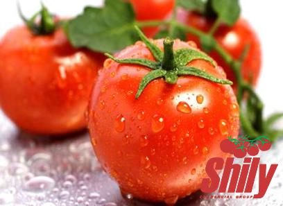 Buy all kinds of tomato paste goya at the best price