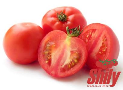 Buy all kinds of no salt tomato paste at the best price