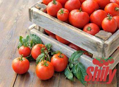 Buy all kinds of 5 oz tomato paste at the best price