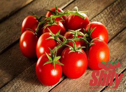 Purchase and today price of organic tomato paste costco