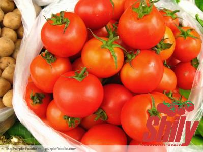 The best price to buy al mudhish tomato paste anywhere