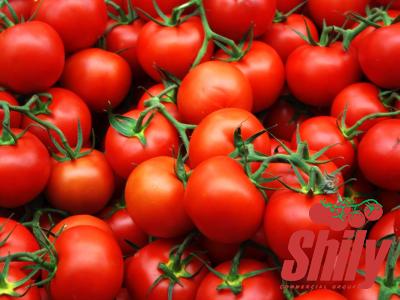 Buy bionaturae tomato paste + introduce the production and distribution factory